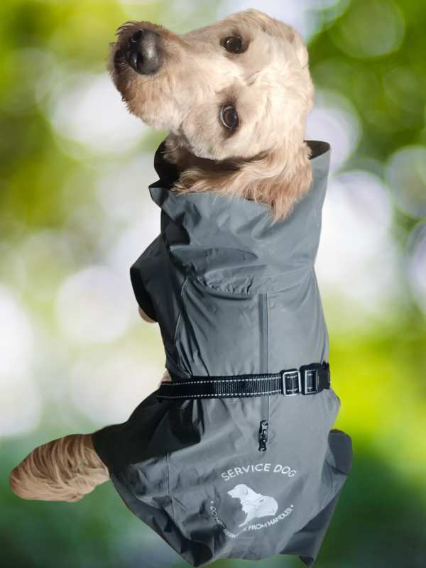 Regenmantel für Assistenzhund mit Aufschrift Service Dog